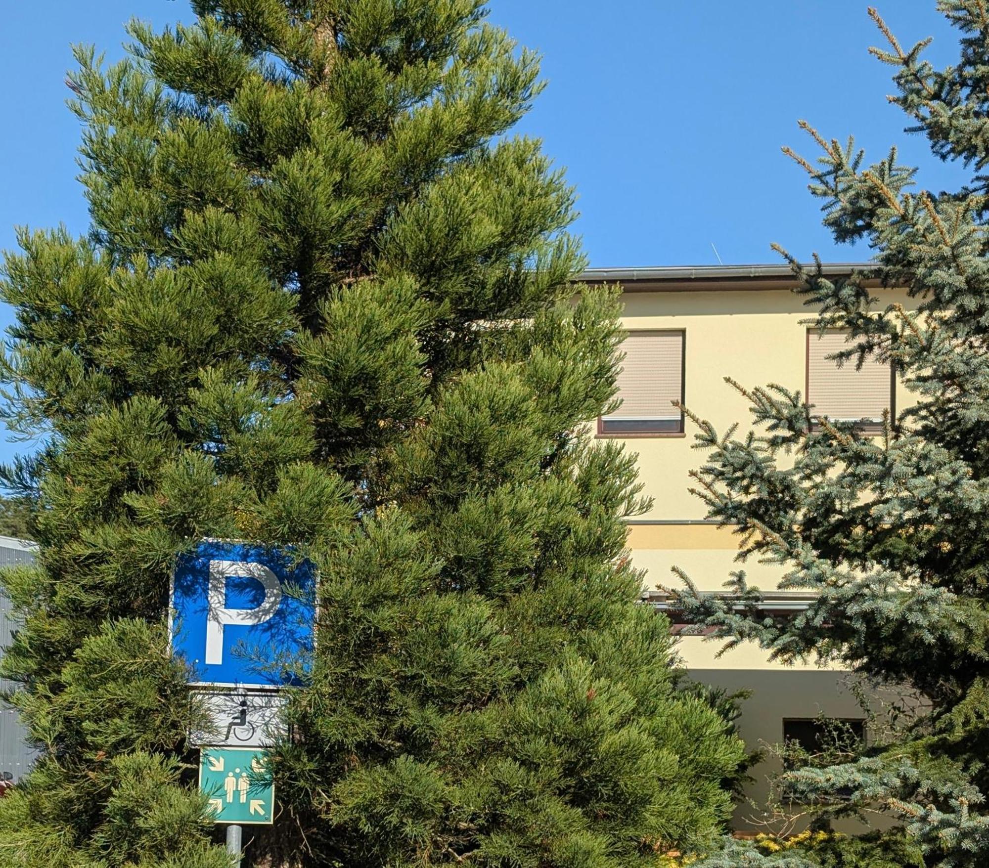 Pension Zum Reiterhof, Fewo 2 Schmogrow Exterior foto