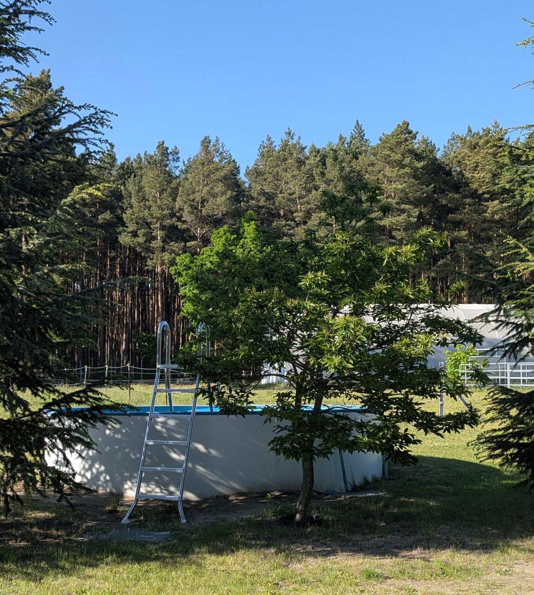 Pension Zum Reiterhof, Fewo 2 Schmogrow Exterior foto